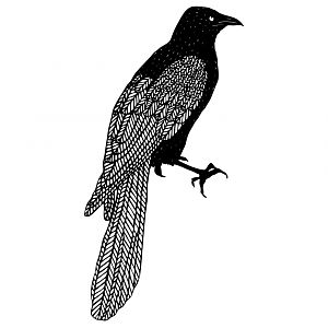 Black Bird Herringbone.63